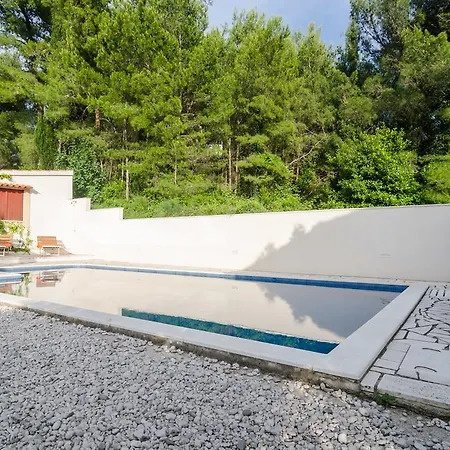 Apartment Nives Mlini